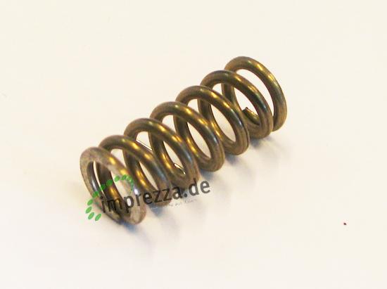 LF Feder 9.5x21.5 mm für Gelenk