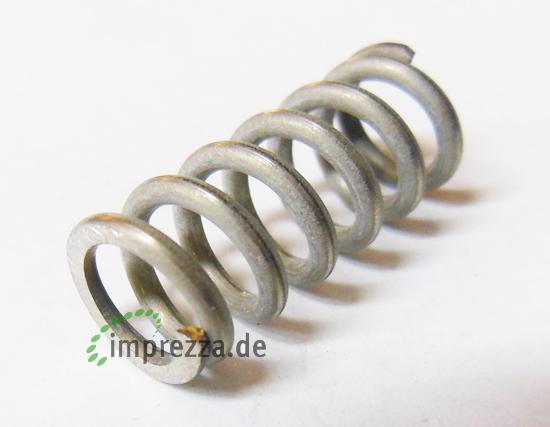 LF Feder 10 x 22 mm für Dampfrohr