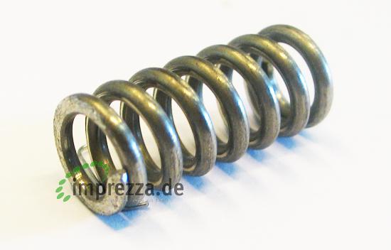 LF Feder 11x25 mm