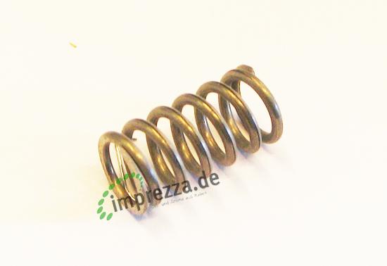 LF Feder 11x21 mm 1
