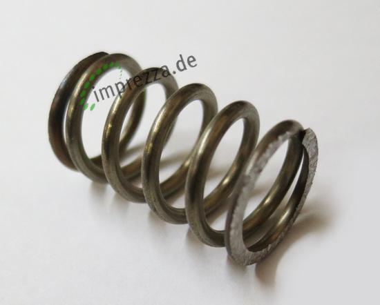 LF Feder 15x28mm 1